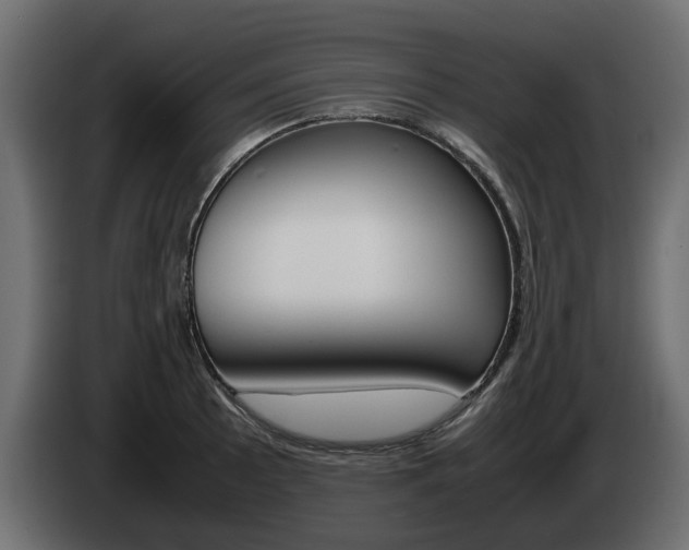 X0000085051089200703051040