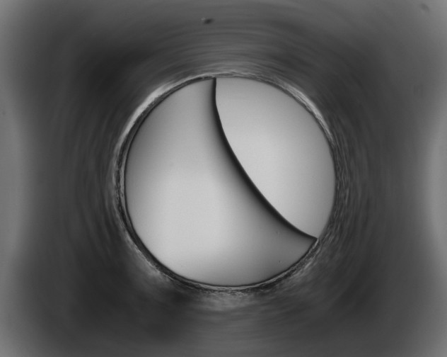 X0000085051091200703051040
