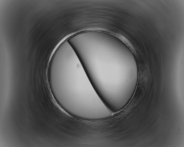 X0000085051092200703051040