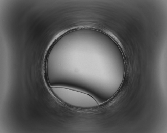 X0000085051093200703051040