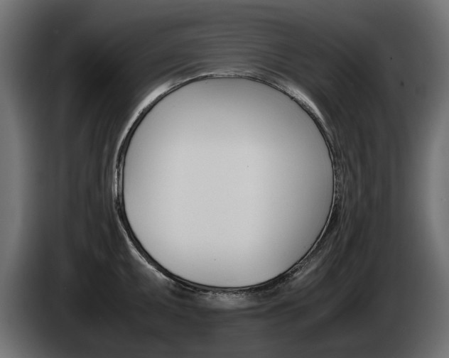 X0000085051095200703051040
