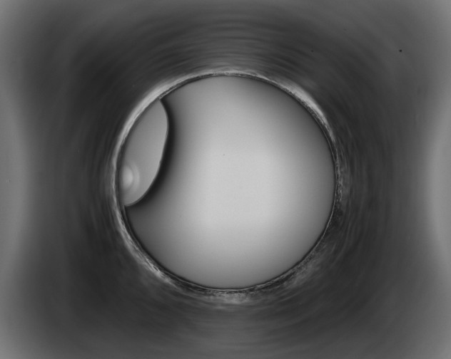 X0000085051096200703051040