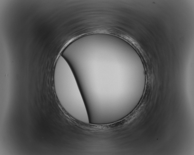 X0000085051097200703051040