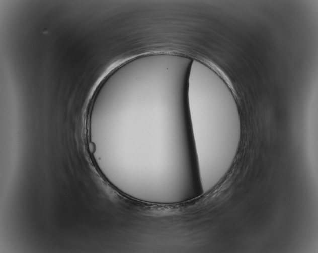 X0000085051099200703051040