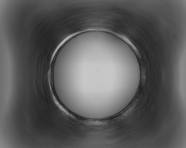 X0000085051100200703051040