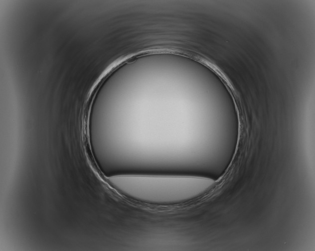 X0000085051101200703051040