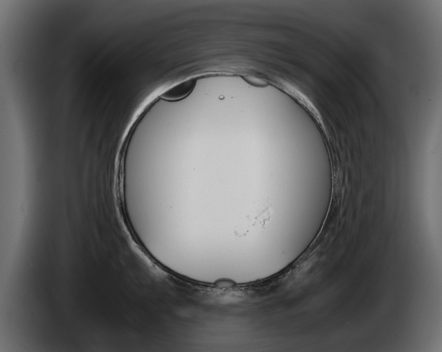 X0000085051103200703051040