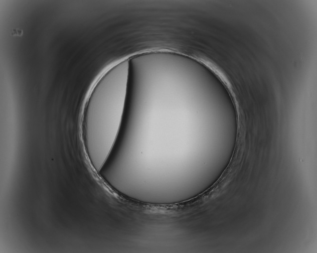 X0000085051104200703051040