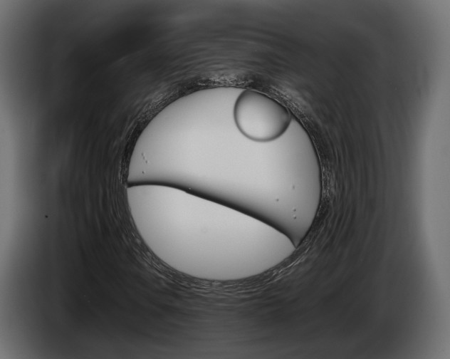 X0000085051106200703051039