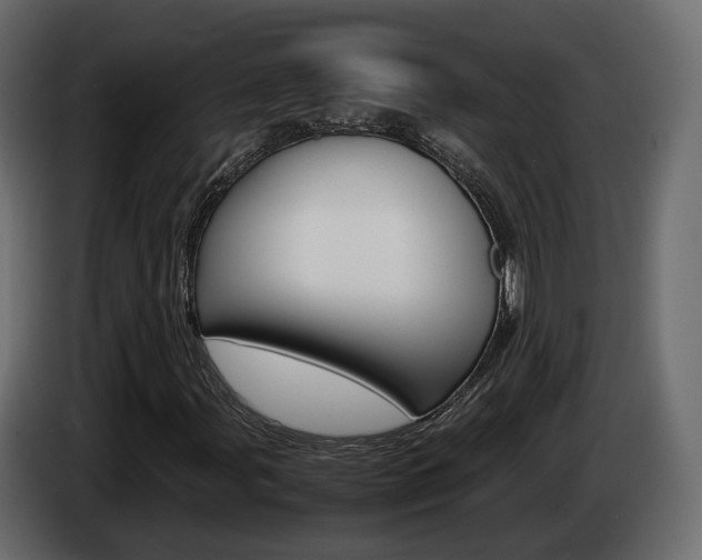 X0000085051107200703051039