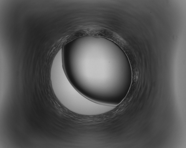 X0000085051108200703051039