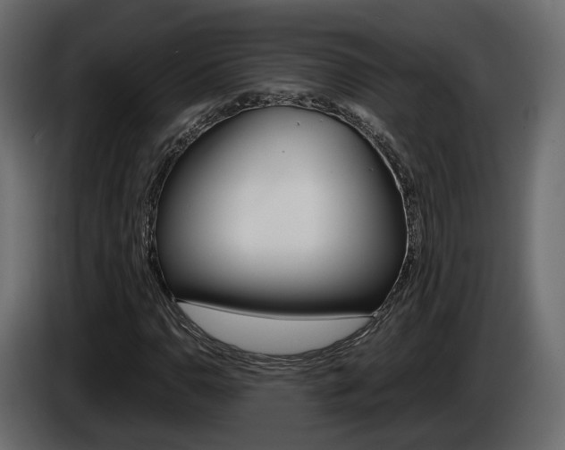 X0000085051110200703051039