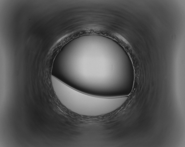 X0000085051112200703051039