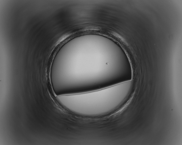 X0000085051113200703051039