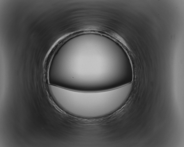 X0000085051116200703051039
