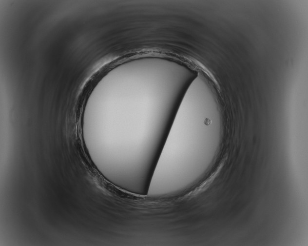 X0000085051117200703051039
