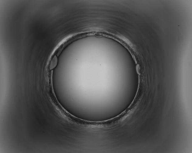 X0000085051118200703051039