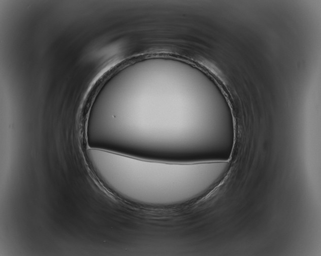 X0000085051119200703051040