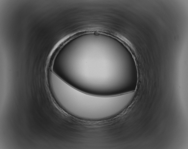 X0000085051120200703051040