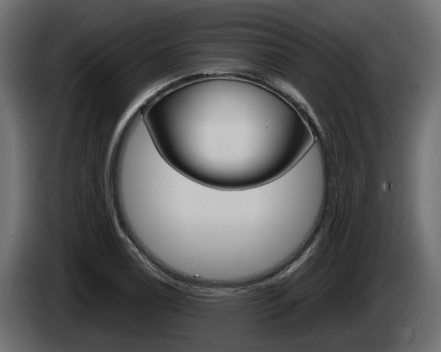 X0000085051122200703051040