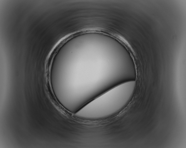 X0000085051124200703051040