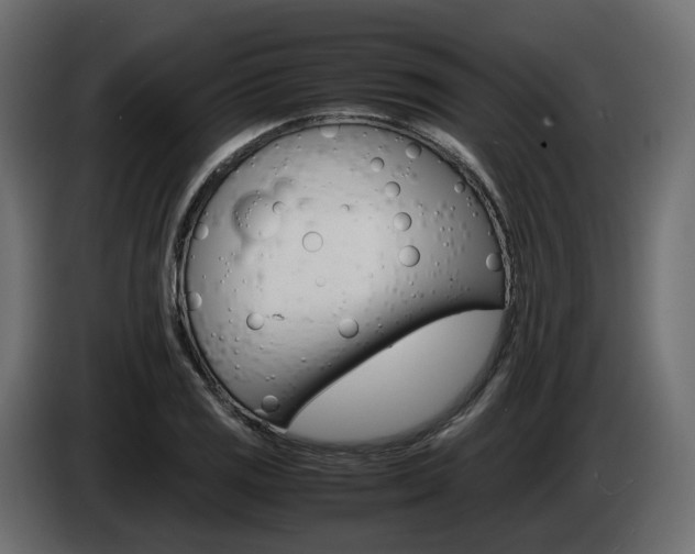 X0000085051125200703051040