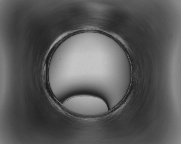 X0000085051126200703051040