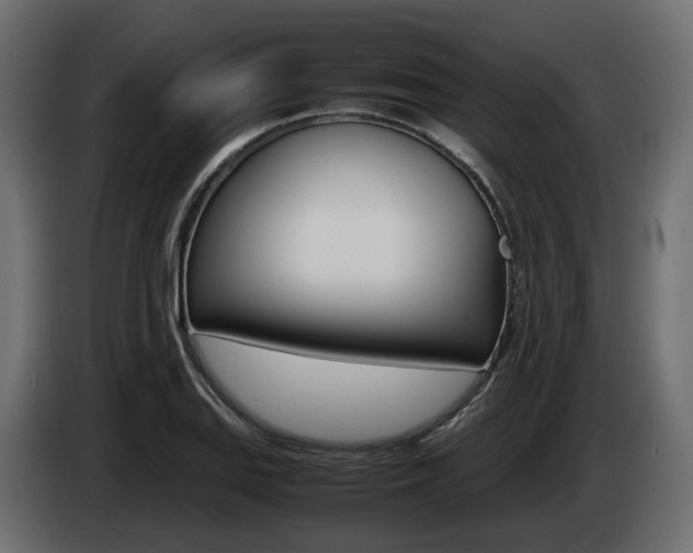 X0000085051127200703051040