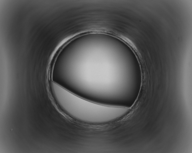 X0000085051128200703051040