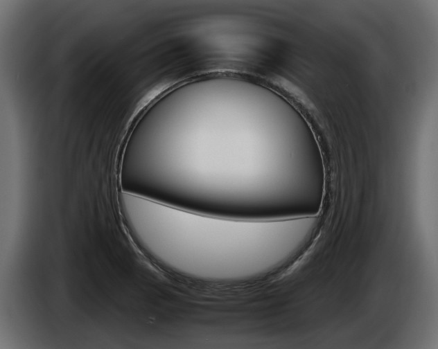 X0000085051129200703051040