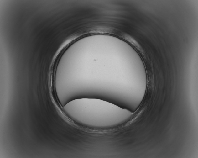 X0000085051130200703051040