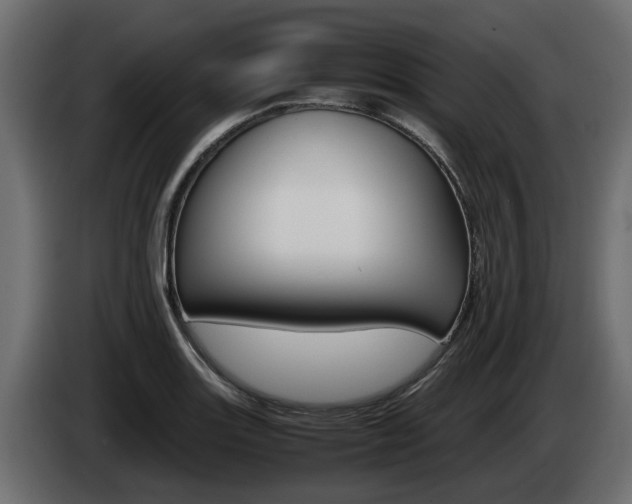 X0000085051131200703051040