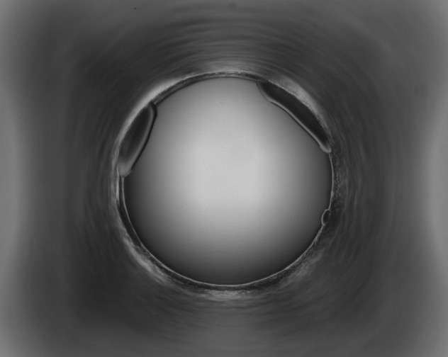 X0000085051132200703051040