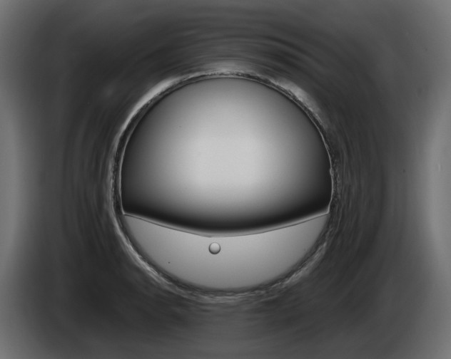 X0000085051134200703051040