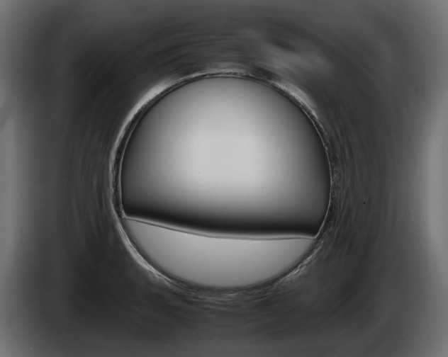 X0000085051135200703051040
