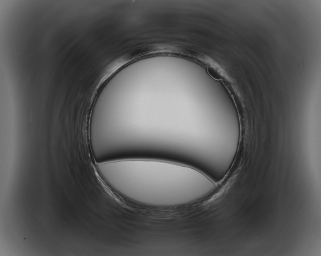 X0000085051137200703051040