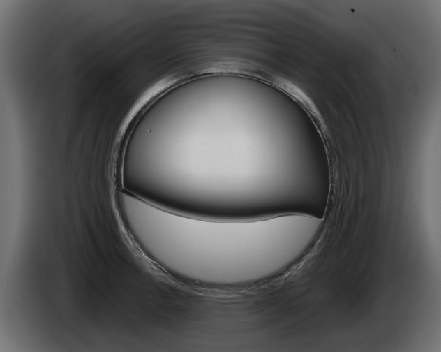 X0000085051138200703051040