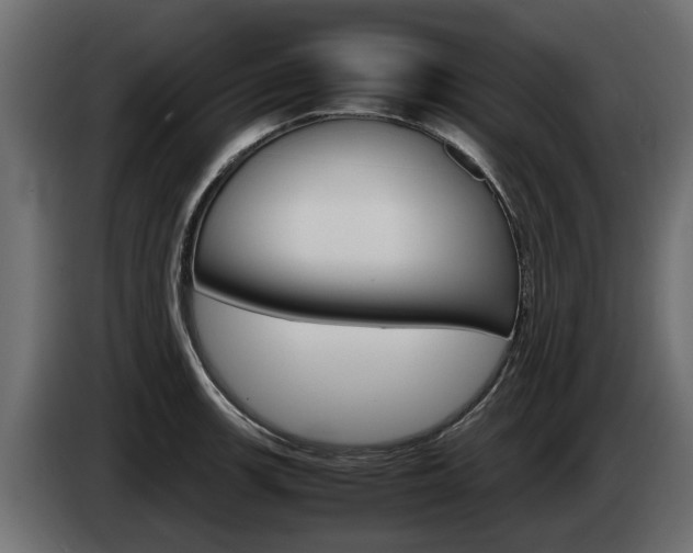 X0000085051139200703051040
