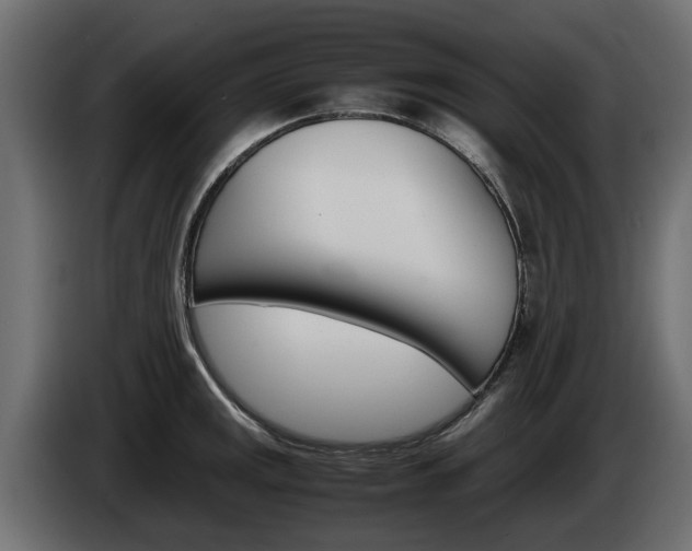 X0000085051141200703051040