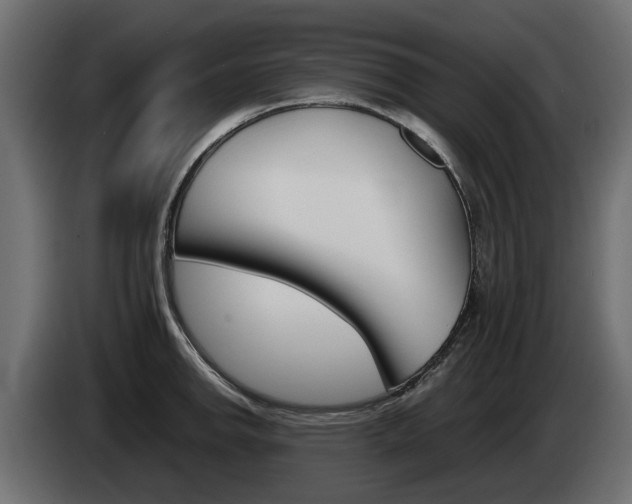 X0000085051142200703051040
