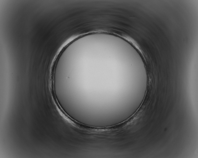 X0000085051143200703051040