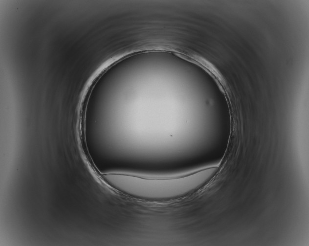X0000085051144200703051040