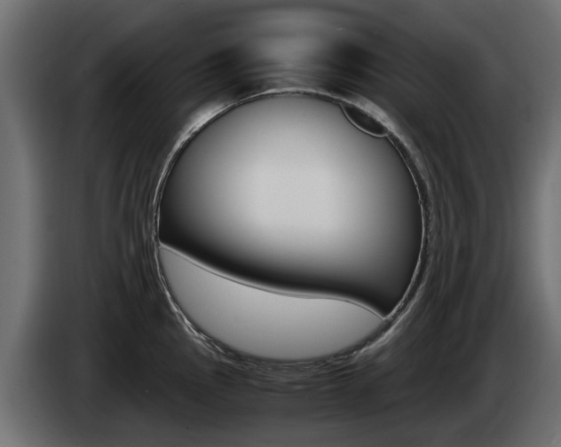 X0000085051145200703051040