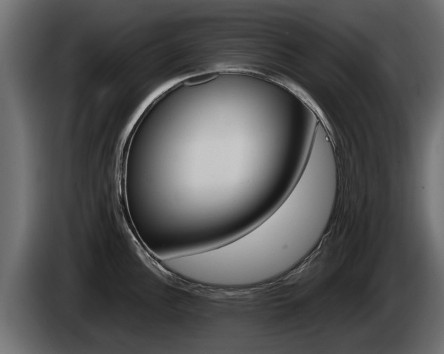 X0000085051148200703051040