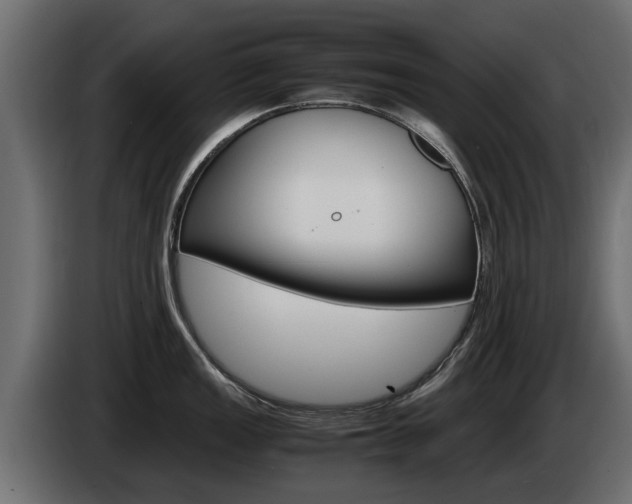 X0000085051149200703051040