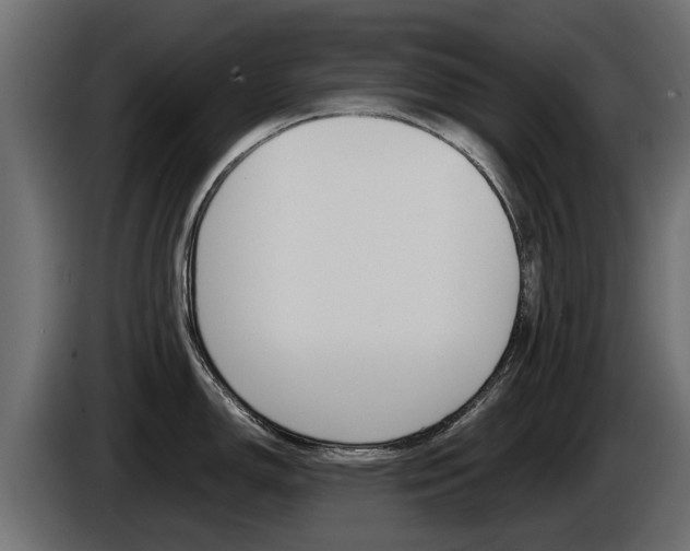 X0000085051150200703051040