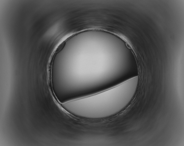 X0000085051151200703051040