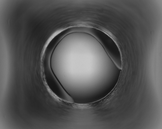 X0000085051152200703051040