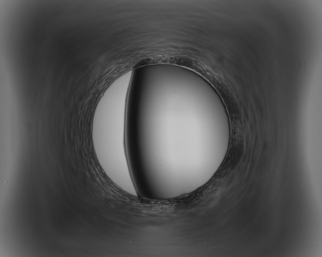 X0000085051153200703051039