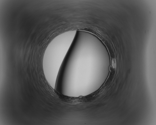 X0000085051155200703051039